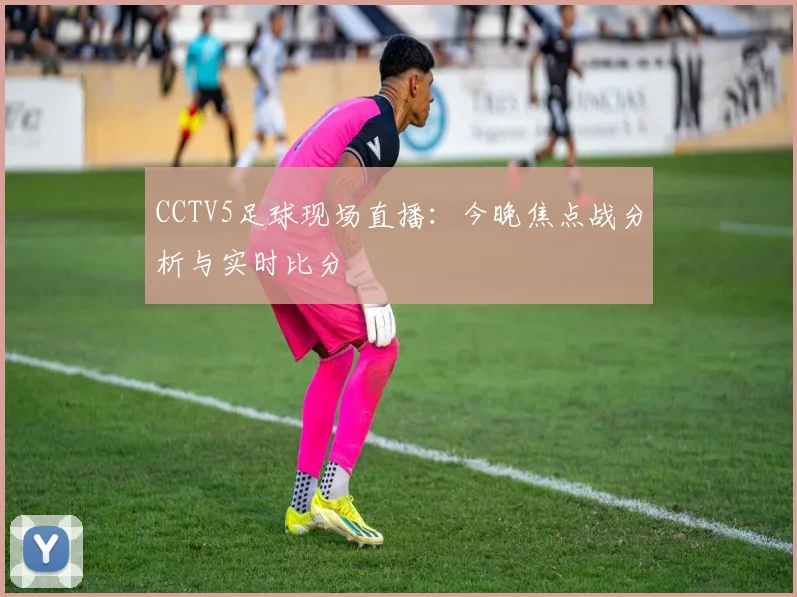 CCTV5足球现场直播：今晚焦点战分析与实时比分
